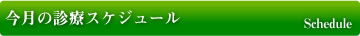�����̐f�ÃX�P�W���[���@����s�畆��
